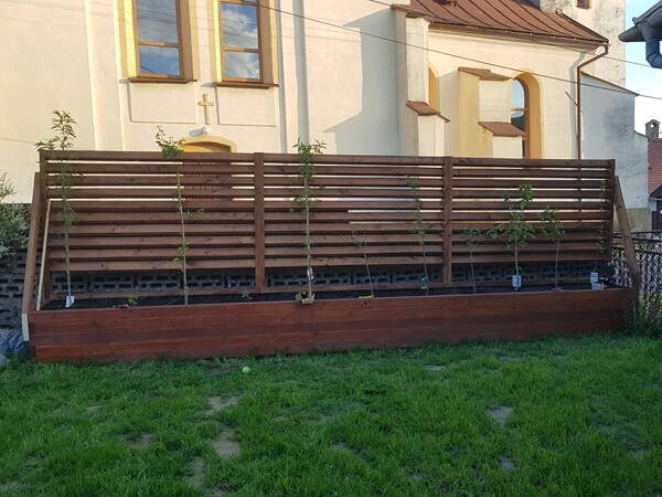 Odtieň 24 Palisander